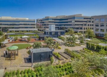 Local Office Vacancy Falls, Sublease Space Up