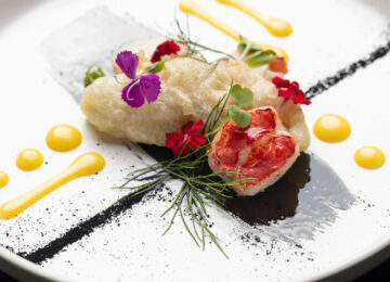 STARTUPS & INNOVATIONS