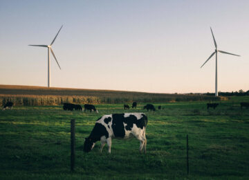 Rivian to Power Illinois Plant with Wind Energy