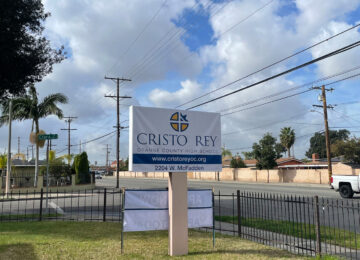 Work Study Innovators