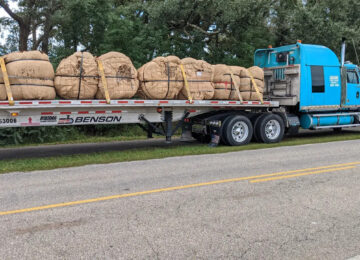 Local Carbon Harvest Firm Teams Up With Birtcher