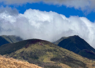 Sunstone Hotel, Allied Universal, Vans Among Those Aiding in Maui Relief Efforts