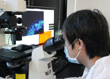 The Chaperones and Charlatans  of Stem Cell Therapies