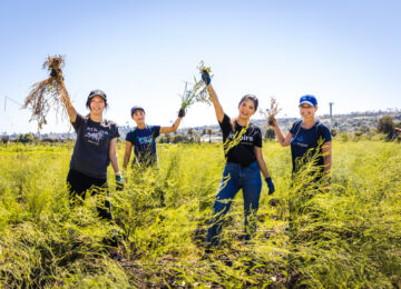 ESG Efforts Come Naturally to Alteryx