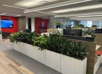 McCarthy Builds Rapport With Employees Through Perks