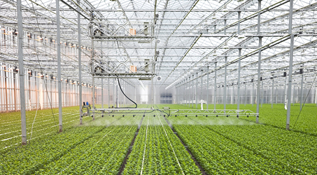 Lesso 0729 ag photo page 45