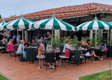 608 Dahlia: Garden to Table at CdM