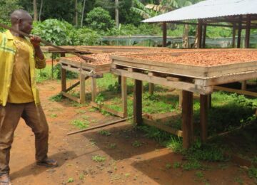 Tetra Tech Shows Growth, USAID Block Looms