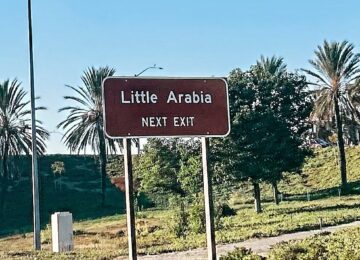 Little Arabia: The Small Business Stars of Anaheim