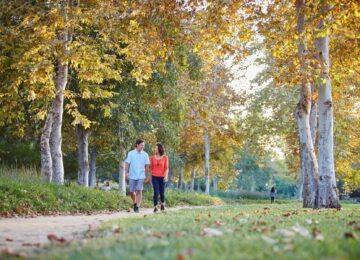 Irvine Co. Adds 50-Acre Park to Oak Creek Development