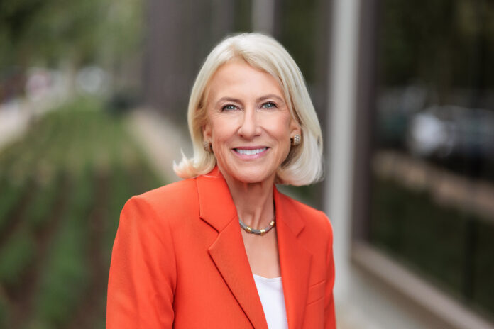 Sue Parks CEO Orange County United Way executive headshot by Photo Deli LLC